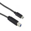 Targus USB-C To USB-B 3.1 Gen2 10Gbps (1m Cable 3A) Black